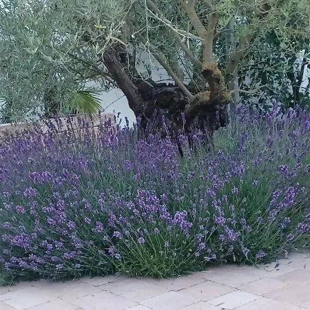 Privatunterkunft Frevel Münstermaifeld