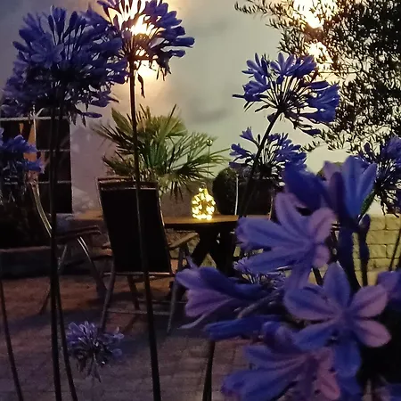 בית אירוח Gaestehaus Frevel Münstermaifeld