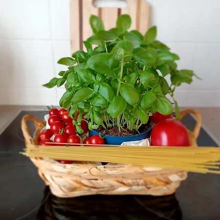 Gaestehaus Frevel Homestay