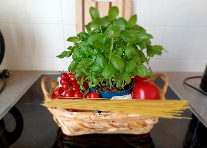 Gaestehaus Frevel Homestay